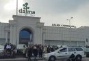 dalma mol