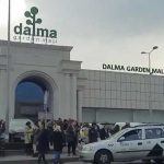 dalma mol