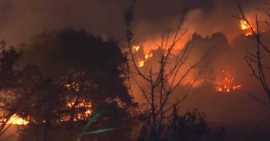 Դիլիջանի անտառներում խոշոր հրդեհներ են բռնկվել