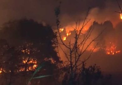 Դիլիջանի անտառներում խոշոր հրդեհներ են բռնկվել