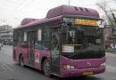 avtobus