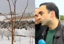 ծիրանենի