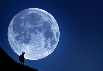 Ընտրեք լուսինը և պարզեք, թե ինչ է ձեզ սպասվում մոտ ապագայում