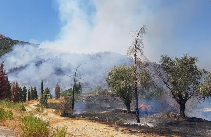 turqia izmir hrdeh