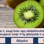 kiwi