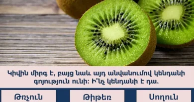 kiwi