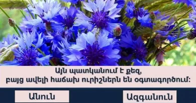 «Ամենախելացին» հաղորդման հարցերից քանիսի՞ն ճիշտ կպատասխանեք