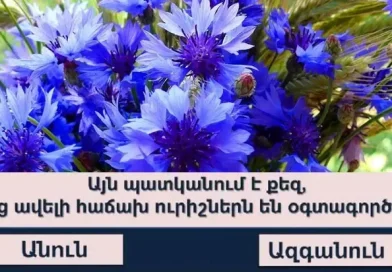 «Ամենախելացին» հաղորդման հարցերից քանիսի՞ն ճիշտ կպատասխանեք