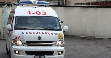 Էրեբունու հիվանդանոց է տեղափոխվել Նուբարաշենում հայտնի «Ոսկանի տղա Համբիկը». բժիշկներին հաջողվել է փրկել նրա կյանքը