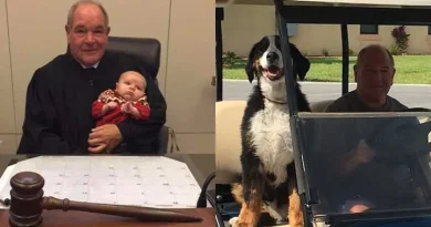 What This Judge Does to Animal Abusers Deserves Great Respect (Video) Judge