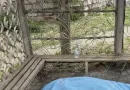 կանգառ դի