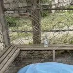 կանգառ դի