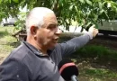 կարկուտ
