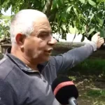 կարկուտ