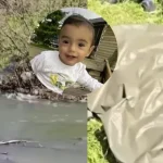 Տիգրան