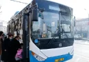 avtobus