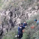 dzor