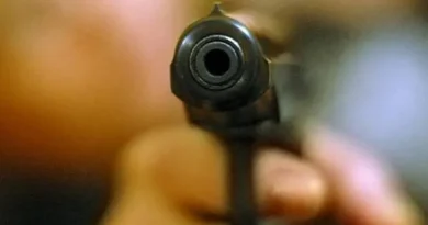 Զովունի կրակոցներ