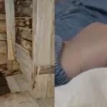 noracin zugaran
