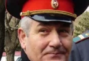 sasha afyan