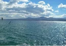 sevana lij 1
