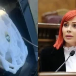 agnesa xamoyan