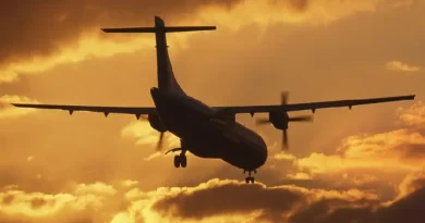 Մոսկվայից չվերթ իրականցնող ինքնաթիռը վերադարձել է օդանավակայան՝ ուղևորուհու վարքագծի պատճառով