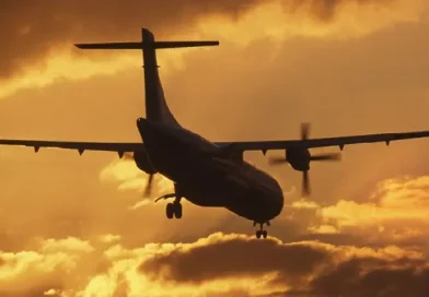 Մոսկվայից չվերթ իրականցնող ինքնաթիռը վերադարձել է օդանավակայան՝ ուղևորուհու վարքագծի պատճառով