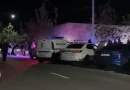 merdzavan krakocner