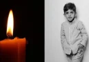 tigran