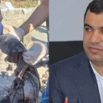 valodya grigoryan 5
