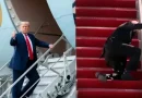donald tramp