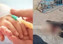 karusel mah