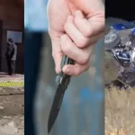 spanutyun