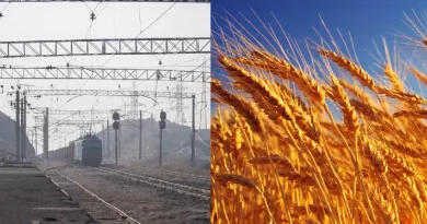 Ռուսական ցորենով բեռնված 15 վագոններն առաջիկա ժամերին Ադրբեջանից կհասնեն Վրաստան, այնտեղից էլ՝ ՀՀ