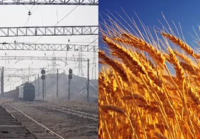 Ռուսական ցորենով բեռնված 15 վագոններն առաջիկա ժամերին Ադրբեջանից կհասնեն Վրաստան, այնտեղից էլ՝ ՀՀ Ռուսական ցորենով բեռնված 15 վագոններն առաջիկա ժամերին Ադրբեջանից կհասնեն Վրաստան, այնտեղից էլ՝ ՀՀ