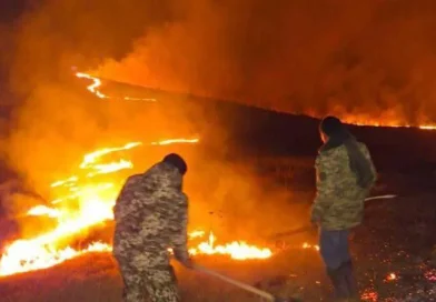 Դիլիջանի անտառները կրակի մեջ են, մեկ փրկարար է զոհվել, կա 4 վիրավոր Դիլիջանի անտառները կրակի մեջ են, մեկ փրկարար է զոհվել, կա 4 վիրավոր