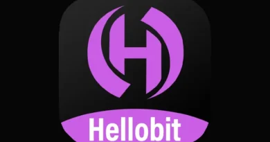HelloBit – Այսօր արդեն ազդակներ են ստացվում այս բուրգի խարդախության հետևանքների մասին