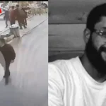 sargis zeynalyan 1 1