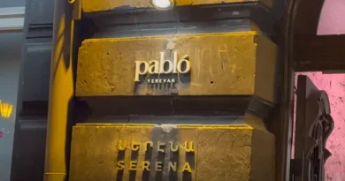 Դանակահարություն՝ «Սերենայում»․ ծեծկռտուքի մասնակիցներն են Սուքիասյանի եղբոր որդին և դատախազների որդիներ