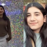 shushan pashinyan angleren