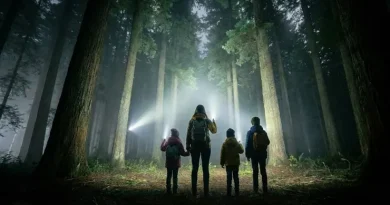 Կինը երեք երեխաների հետ մոլորվել է Մաթոսավանք վանական համալիր տանող անտառամիջյան ճանապարհին