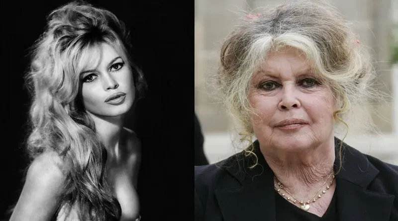 Մահացել է ֆրանսիացի դերասանուհի Բրիժիտ Բարդոն