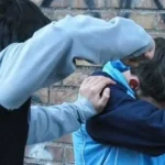 dprocakanner ceckrtuq