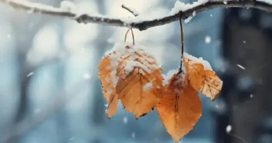 Ինչպիսի եղանակ է սպասվում առաջիկա օրերին