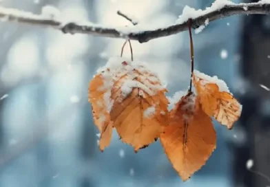 Ինչպիսի եղանակ է սպասվում առաջիկա օրերին