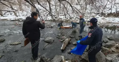 Նոր մանրամասներ Լիլիթ Երմալովյանի ողբերգական դեպքից. ՆԳՆ