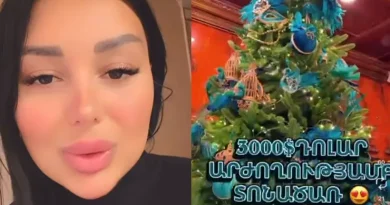 3000 դոլարանոց տոնածառ եմ գնել. «Նայեք, աղջիկներ ջան»-ի Լենա