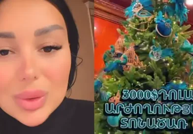 3000 դոլարանոց տոնածառ եմ գնել. «Նայեք, աղջիկներ ջան»-ի Լենա 3000 դոլարանոց տոնածառ եմ գնել. «Նայեք, աղջիկներ ջան»-ի Լենա