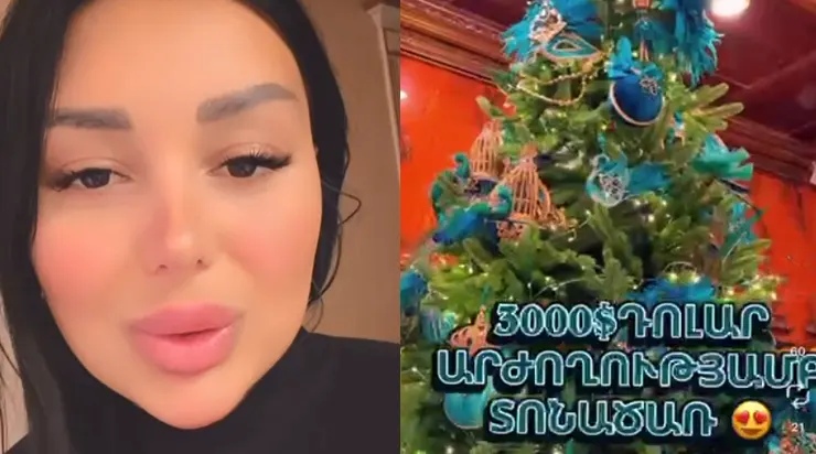 3000 դոլարանոց տոնածառ եմ գնել. «Նայեք, աղջիկներ ջան»-ի Լենա 3000 դոլարանոց տոնածառ եմ գնել. «Նայեք, աղջիկներ ջան»-ի Լենա